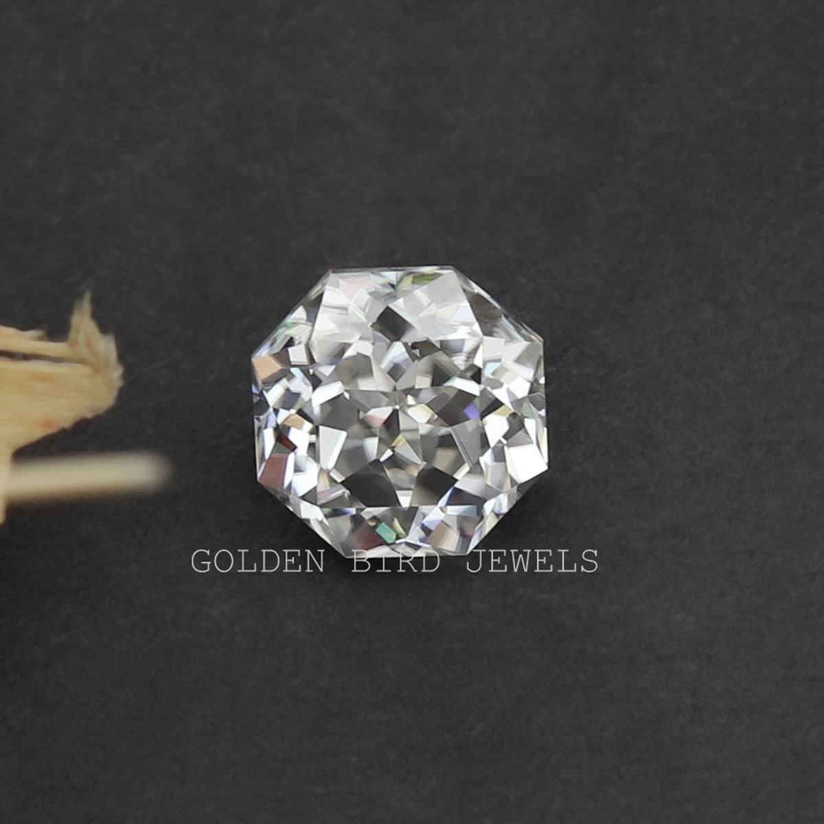 Octagon Fancy Cut Moissanite Loose Stone