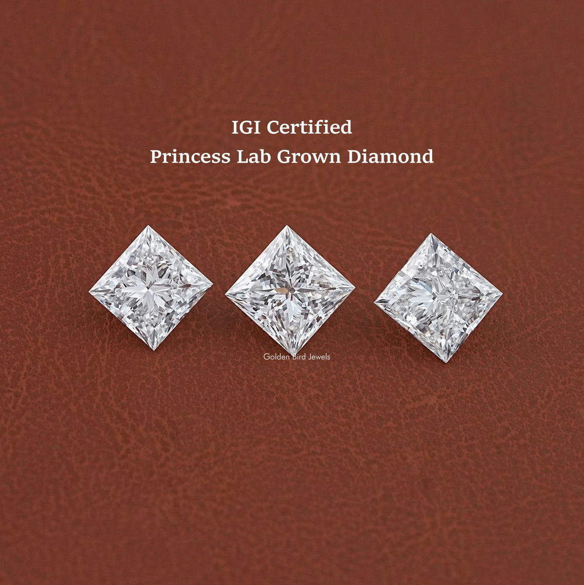 IGI Certified Princess Cut Loose Lab Diamond