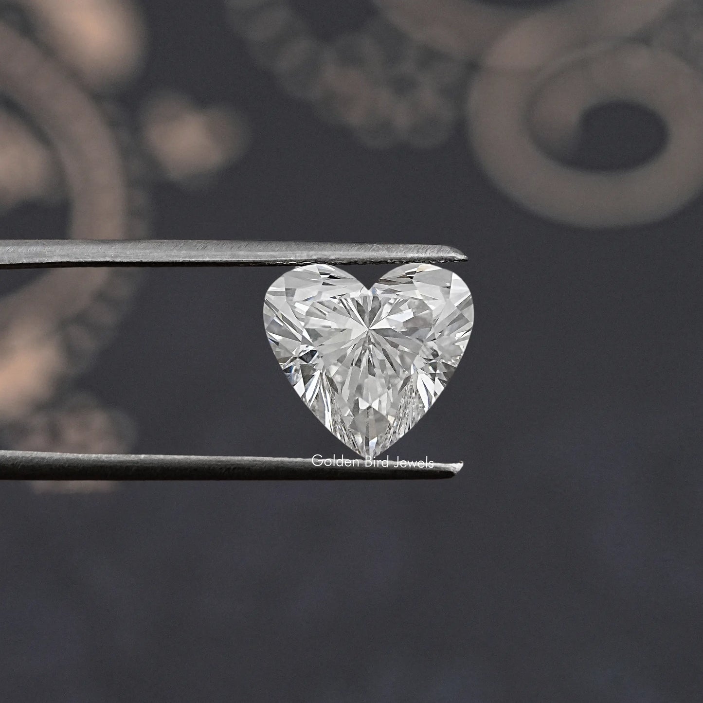 Twijer holding the Heart Shaped Lab Grown Diamond