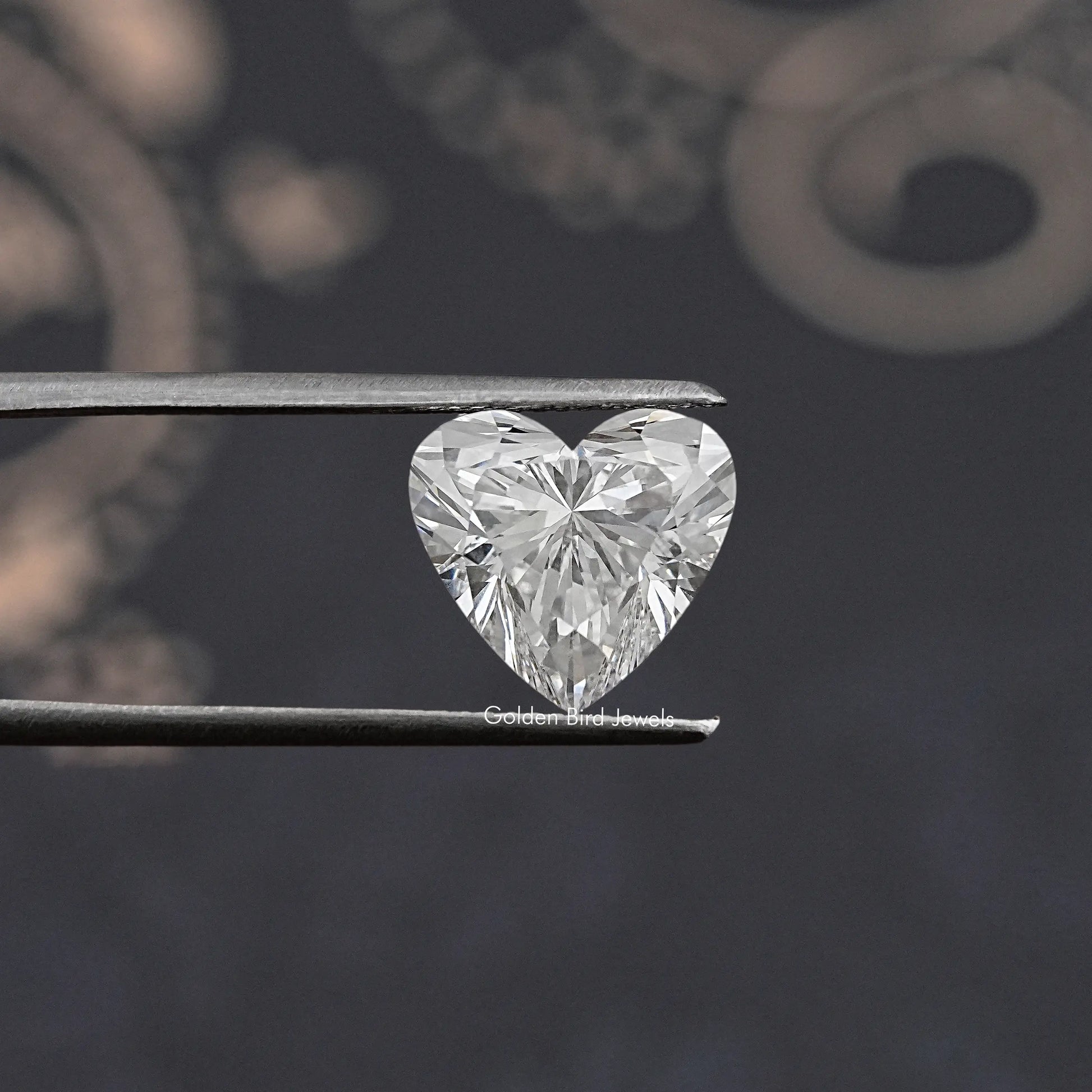 Twijer holding the Heart Shaped Lab Grown Diamond