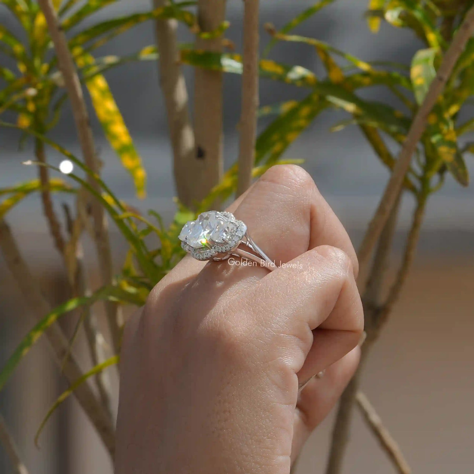 Close-Up View of  Old Mine Cushion Cut Moissanite Ring In White Gold