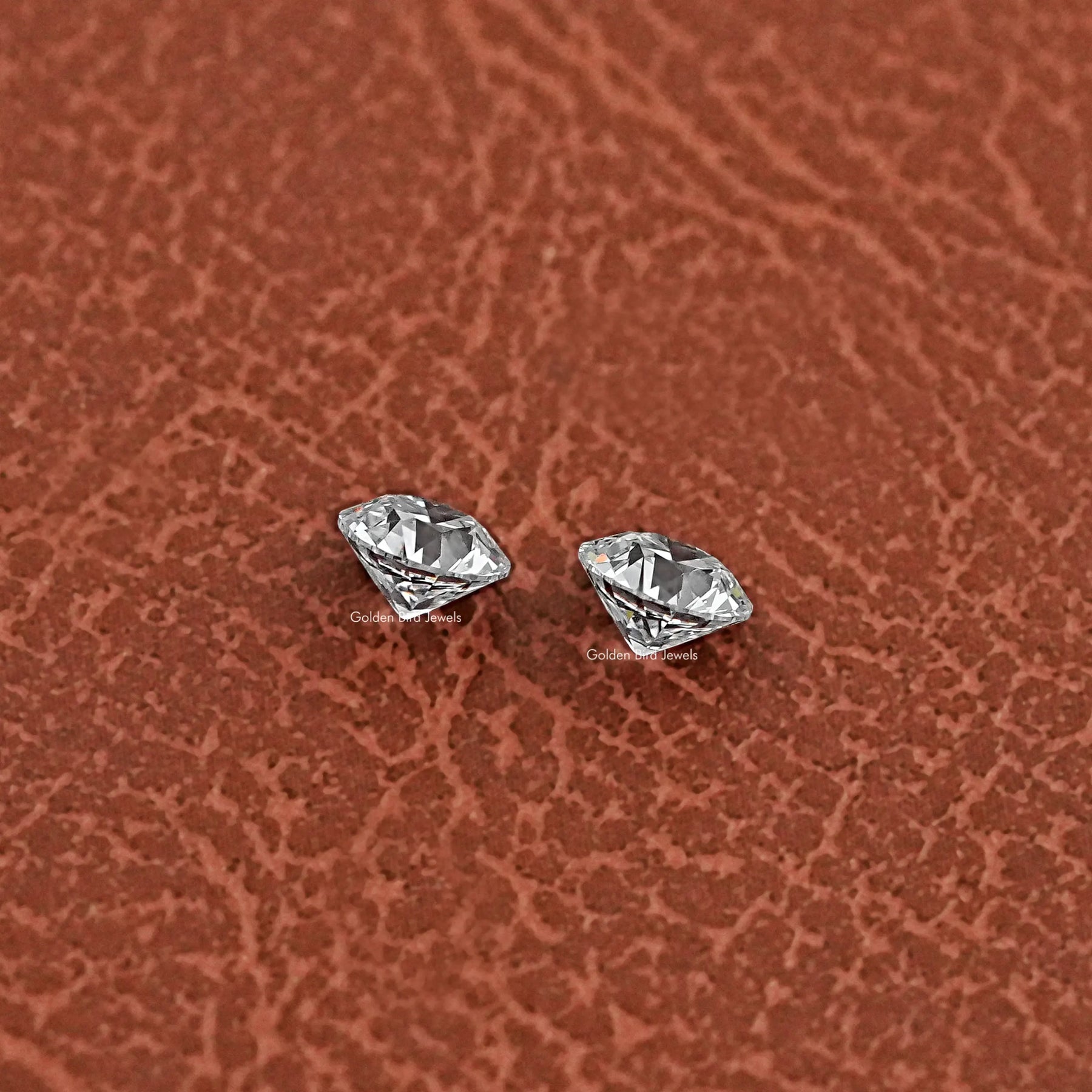 Close-Up View of Old European Round Cut Diamond Pair In White