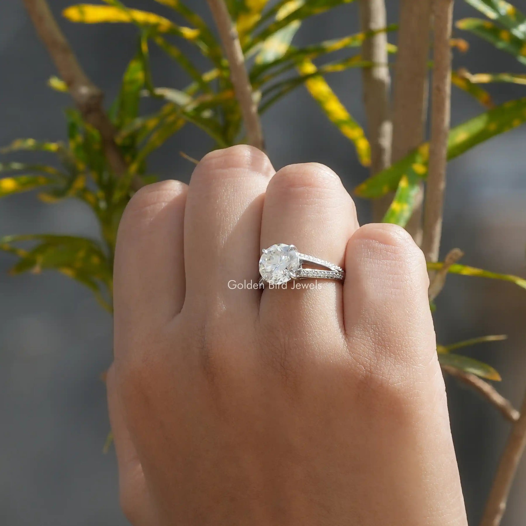 Detailed View Of Round Cut Moissanite Accent Stone Engagement Ring In White Gold