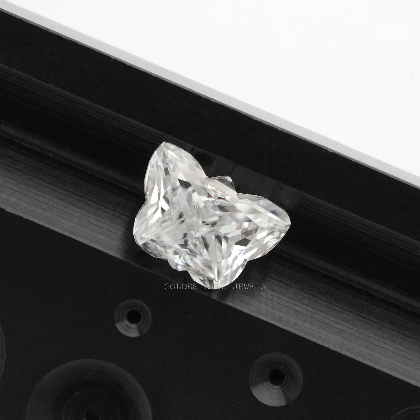 View Of Colorless Butterfly Cut Loose Stone In White